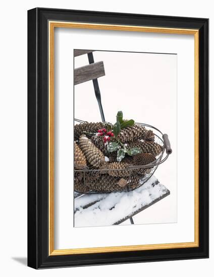 Chair in the Snow, Basket with Plug and Holly-Andrea Haase-Framed Photographic Print