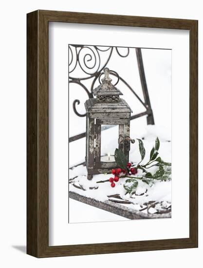 Chair in the Snow with Christmassy Still Life-Andrea Haase-Framed Photographic Print