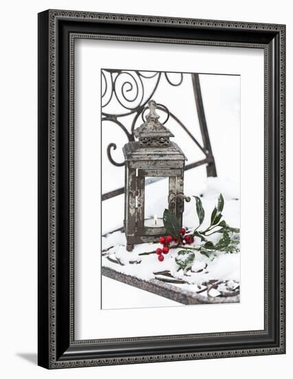 Chair in the Snow with Christmassy Still Life-Andrea Haase-Framed Photographic Print