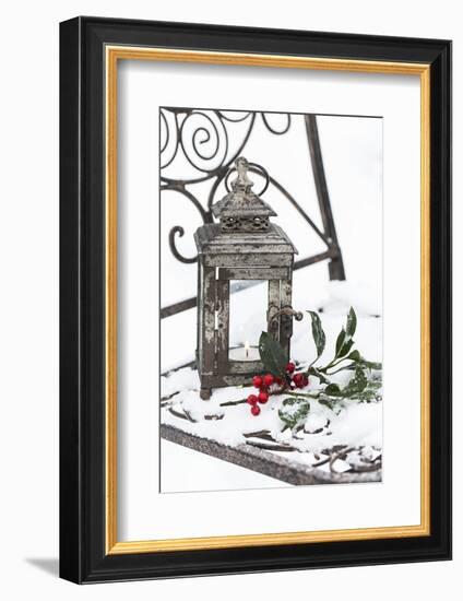 Chair in the Snow with Christmassy Still Life-Andrea Haase-Framed Photographic Print