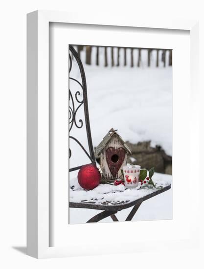 Chair in the Snow with Christmassy Still Life-Andrea Haase-Framed Photographic Print