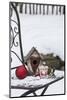 Chair in the Snow with Christmassy Still Life-Andrea Haase-Mounted Photographic Print