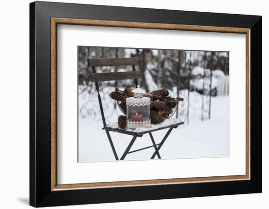 Chair in the Snow with Wintry Still Life-Andrea Haase-Framed Photographic Print