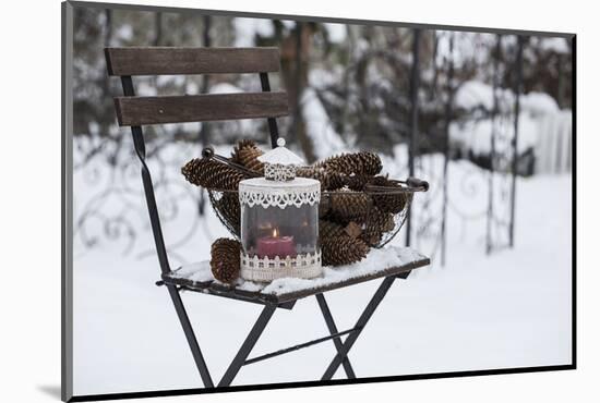 Chair in the Snow with Wintry Still Life-Andrea Haase-Mounted Photographic Print