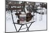 Chair in the Snow with Wintry Still Life-Andrea Haase-Mounted Photographic Print