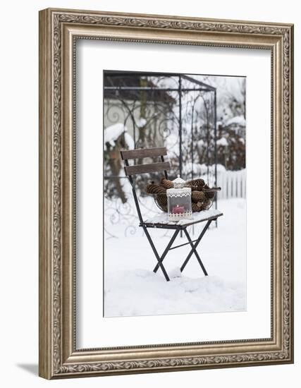 Chair in the Snow with Wintry Still Life-Andrea Haase-Framed Photographic Print