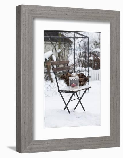 Chair in the Snow with Wintry Still Life-Andrea Haase-Framed Photographic Print