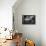 Chairs and tables in a restaurant at dawn, Cafe Du Trocadero, Paris, Ile-de-France, France-null-Framed Premier Image Canvas displayed on a wall