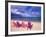 Chairs on the Beach-Bill Bachmann-Framed Photographic Print