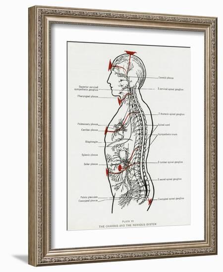 Chakras and Nervous System-CW Leadbeater-Framed Photographic Print