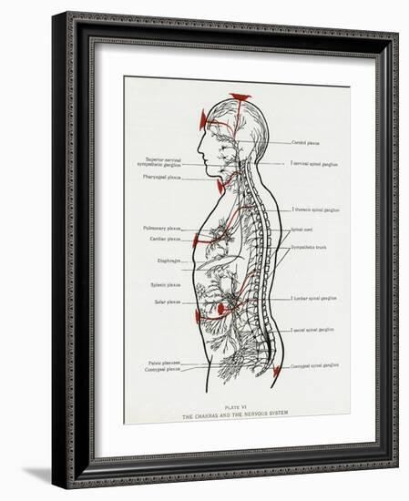 Chakras and Nervous System-CW Leadbeater-Framed Photographic Print