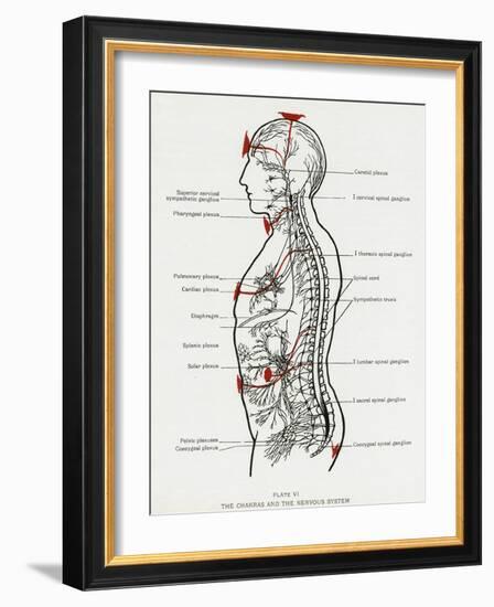 Chakras and Nervous System-CW Leadbeater-Framed Photographic Print