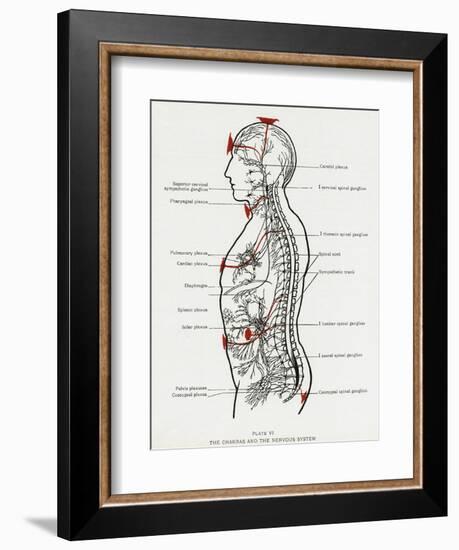 Chakras and Nervous System-CW Leadbeater-Framed Photographic Print