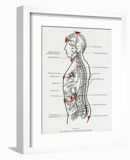 Chakras and Nervous System-CW Leadbeater-Framed Photographic Print