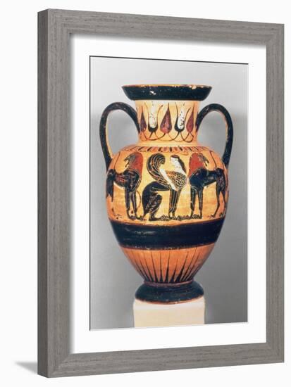 Chalcidian Black Figure Amphora, Sphinx Flanked by Two Lions, by the Polyphemus Painter, 540-30 BC-Greek-Framed Giclee Print