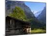 Chalet and Mountains, Grindelwald, Bern, Switzerland, Europe-Richardson Peter-Mounted Photographic Print