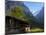 Chalet and Mountains, Grindelwald, Bern, Switzerland, Europe-Richardson Peter-Mounted Photographic Print