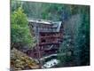 Premium Photographic Print