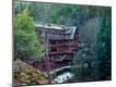 Photographic Print