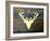 Chalet Style Gold Deer Antler-Markus Bleichner-Framed Art Print