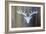 Chalet Style Silver Deer Antler-Markus Bleichner-Framed Art Print