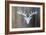 Chalet Style Silver Deer Antler-Markus Bleichner-Framed Art Print