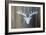 Chalet Style Silver Deer Antler-Markus Bleichner-Framed Art Print