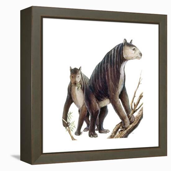 Chalicotherium Grande-null-Framed Stretched Canvas