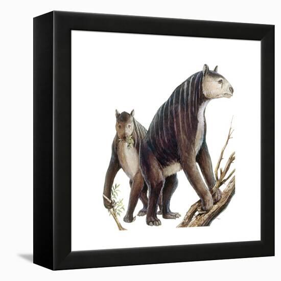 Chalicotherium Grande-null-Framed Stretched Canvas