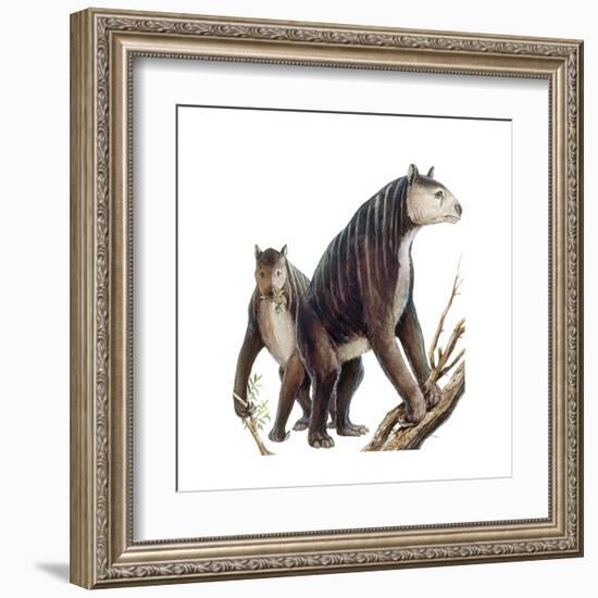 Chalicotherium Grande-null-Framed Art Print