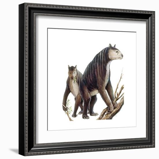 Chalicotherium Grande-null-Framed Art Print