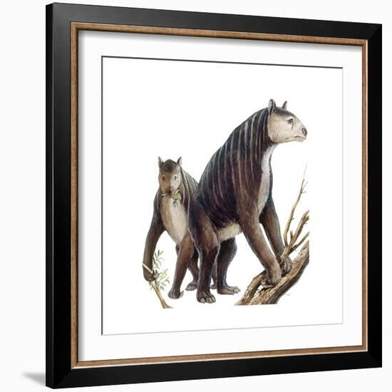 Chalicotherium Grande-null-Framed Art Print