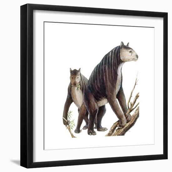 Chalicotherium Grande-null-Framed Art Print