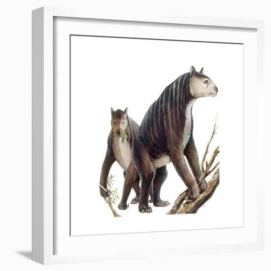 Chalicotherium Grande-null-Framed Art Print