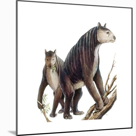 Chalicotherium Grande-null-Mounted Art Print