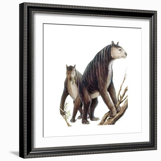 Chalicotherium Grande-null-Framed Art Print