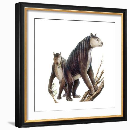 Chalicotherium Grande-null-Framed Art Print