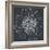 Chalk Bloom 2-Connor Adams-Framed Art Print