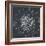 Chalk Bloom 2-Connor Adams-Framed Art Print