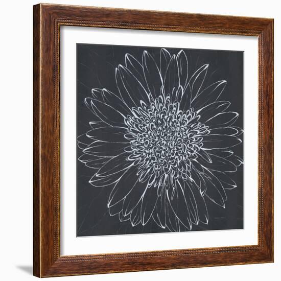 Chalk Bloom 2-Connor Adams-Framed Art Print