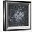 Chalk Bloom 2-Connor Adams-Framed Art Print