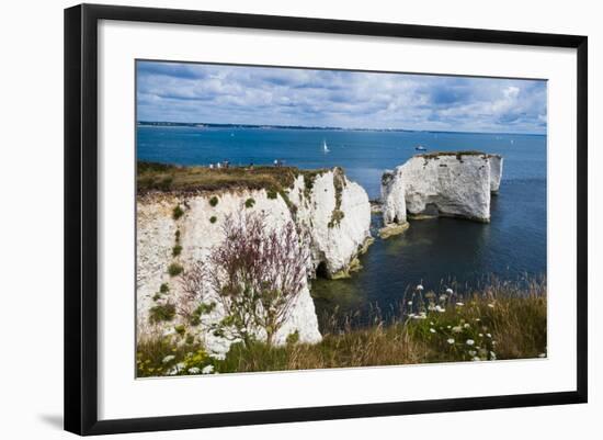 Chalk Stacks and Cliffs at Old Harry Rocks, Between Swanage and Purbeck, Dorset-Matthew Williams-Ellis-Framed Photographic Print