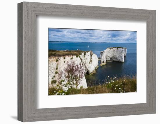 Chalk Stacks and Cliffs at Old Harry Rocks, Between Swanage and Purbeck, Dorset-Matthew Williams-Ellis-Framed Photographic Print