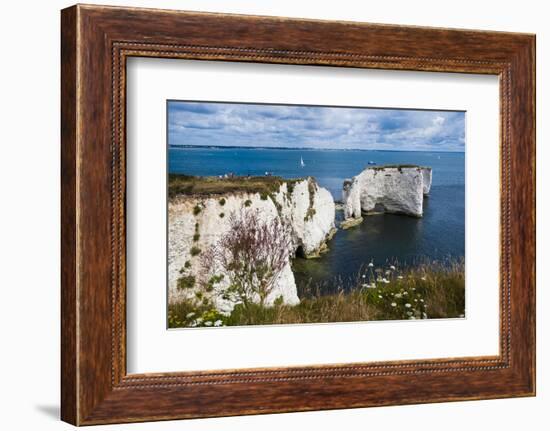 Chalk Stacks and Cliffs at Old Harry Rocks, Between Swanage and Purbeck, Dorset-Matthew Williams-Ellis-Framed Photographic Print