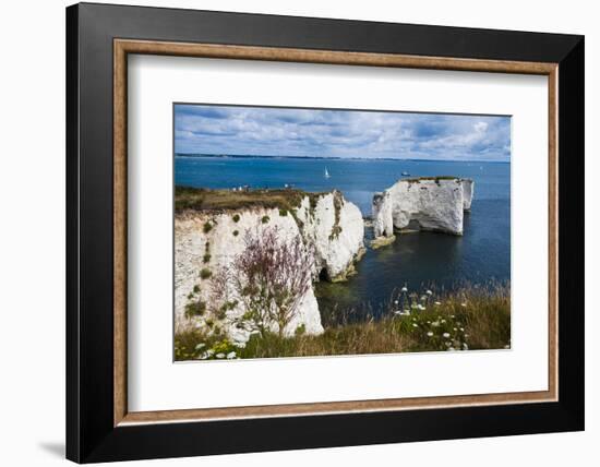 Chalk Stacks and Cliffs at Old Harry Rocks, Between Swanage and Purbeck, Dorset-Matthew Williams-Ellis-Framed Photographic Print