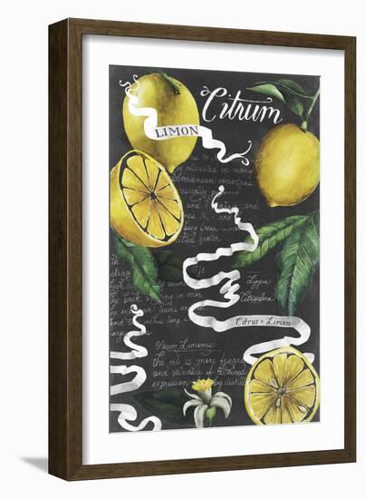 Chalkboard Citrus I-Grace Popp-Framed Art Print