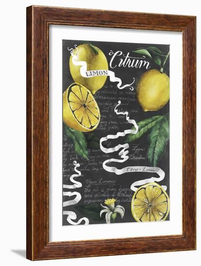 Chalkboard Citrus I-Grace Popp-Framed Art Print