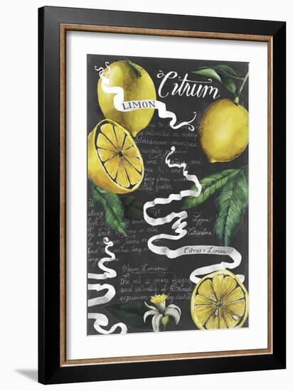 Chalkboard Citrus I-Grace Popp-Framed Art Print