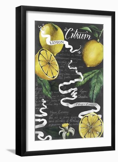 Chalkboard Citrus I-Grace Popp-Framed Art Print