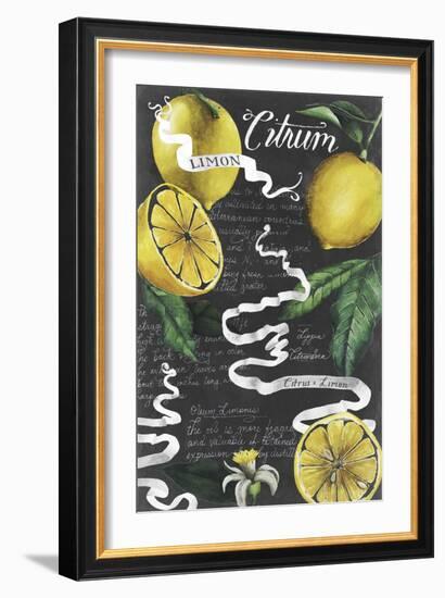 Chalkboard Citrus I-Grace Popp-Framed Art Print